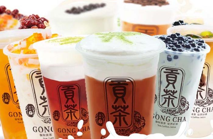 康县贡茶培训